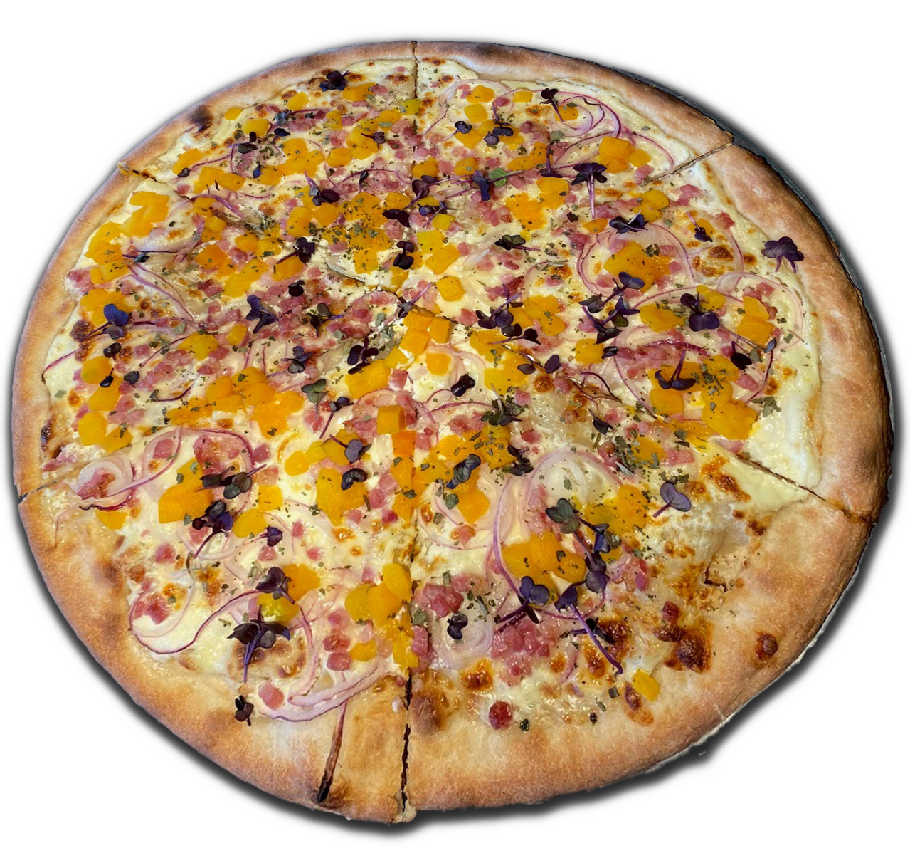 Pizza_Pumpkin_11_2023.png